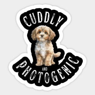 Cuddly and Photogenic Sticker